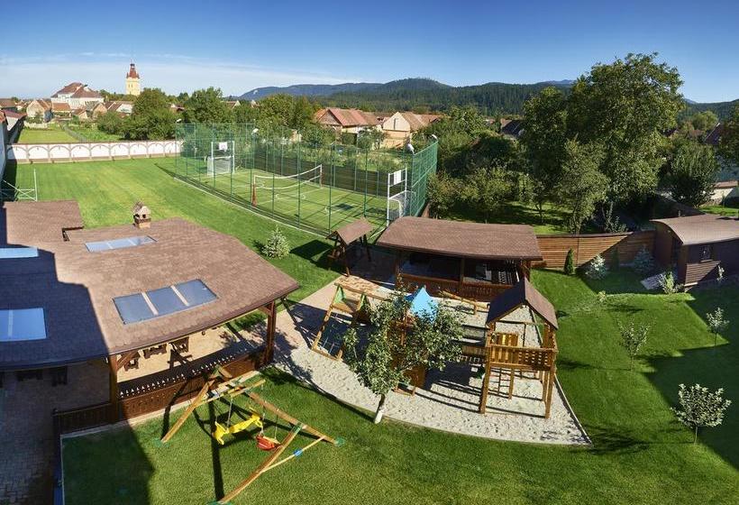 Hôtel Conacul Ambient 13