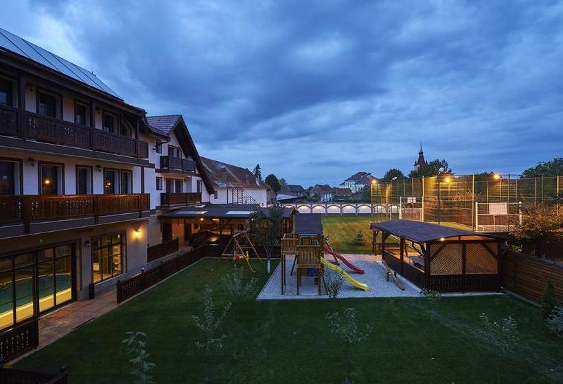 Hôtel Conacul Ambient 14