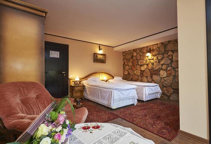 Hôtel Conacul Ambient 19