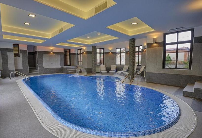 Hôtel Conacul Ambient 3