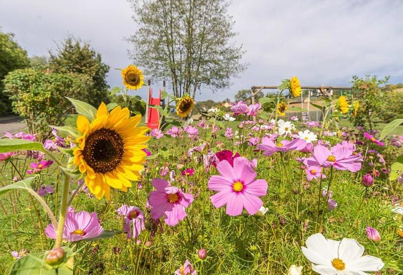 Familien Hotel Krainz 5