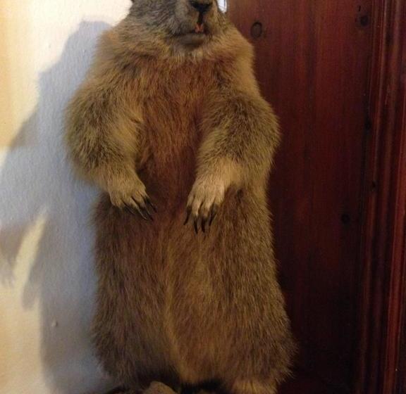 Hôtel Sonne Tarrenz