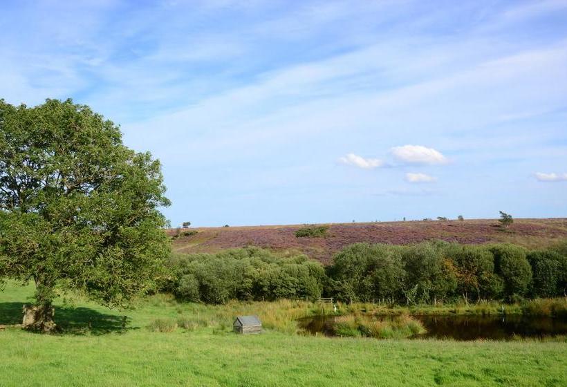Hotel Folly Hall Farm  Caravan Park
