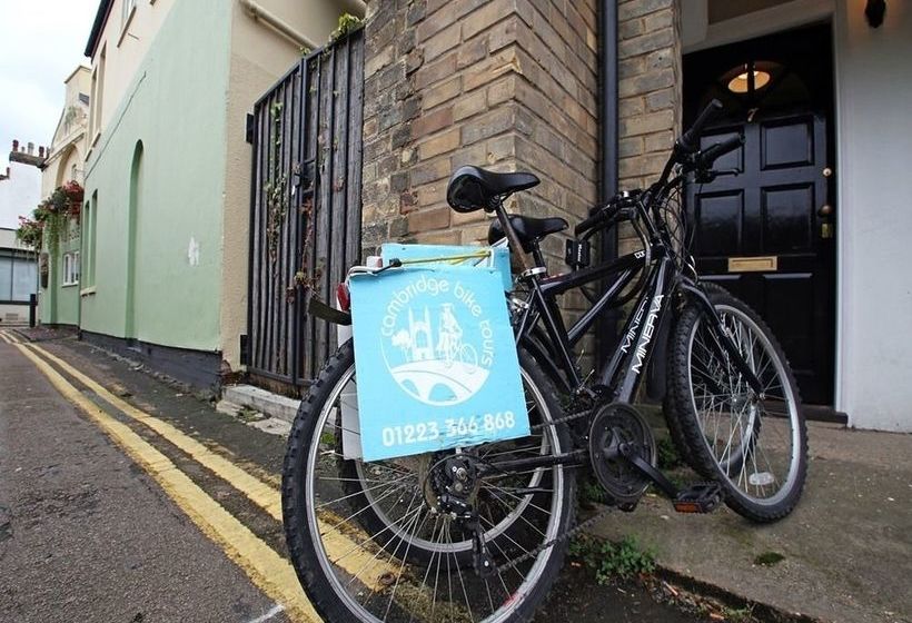 Orchard Cambridge 13