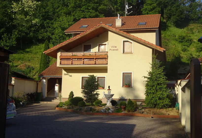 Pension Villa Psenek