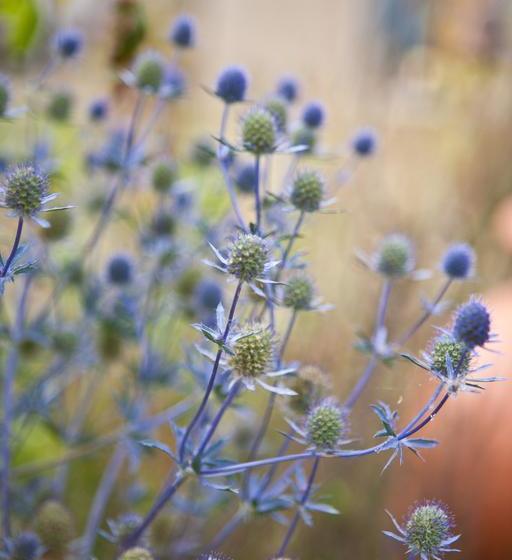 Delamere Farm B&b 10