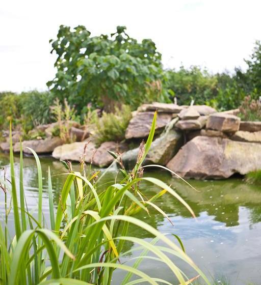 Delamere Farm B&b 11