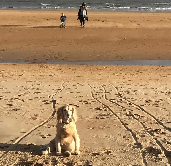 No12 Bed And Breakfast 11