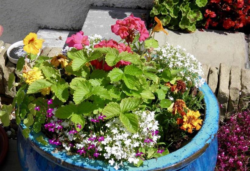 No12 Bed And Breakfast 6