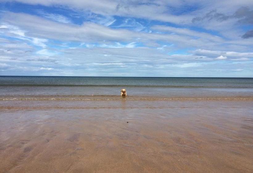 No12 Bed And Breakfast 8