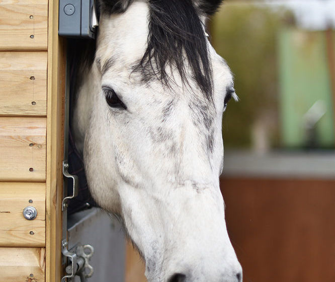 Harrogate Country B&b 6