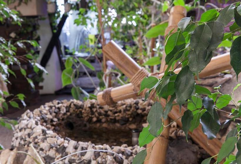 Hotel Villa Higina Spa