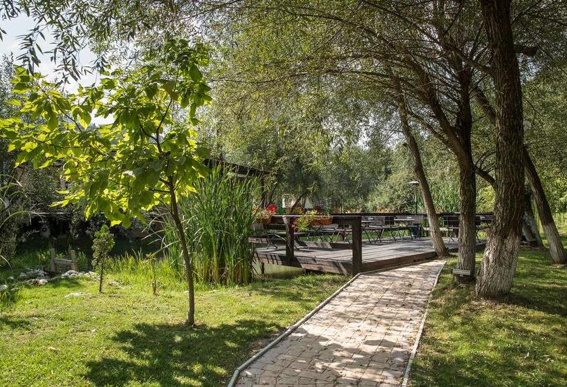 Hôtel Domeniul Dâmbu Morii 10