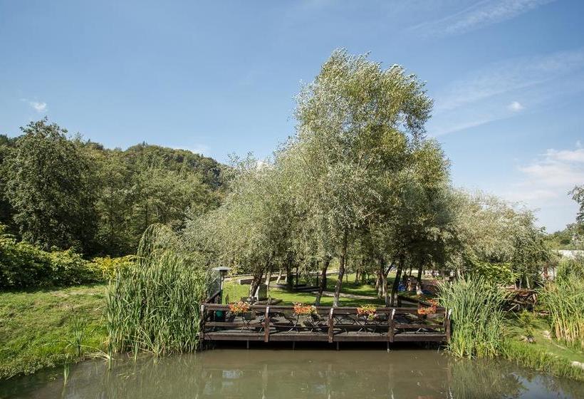 Hôtel Domeniul Dâmbu Morii 11