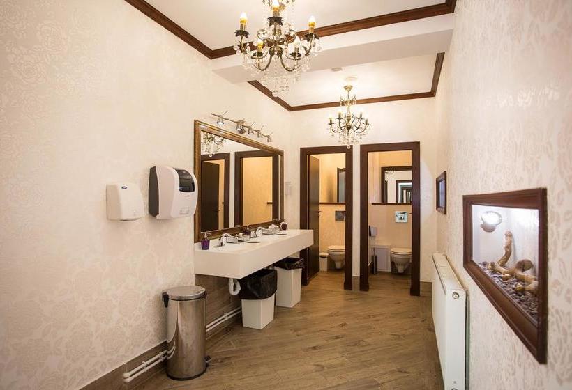 Hôtel Domeniul Dâmbu Morii 9