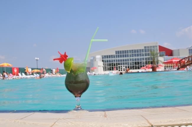 Hotel Alinalex Paradisul Acvatic 19