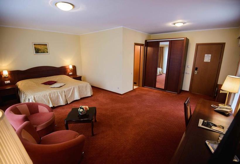 Hotel Alinalex Paradisul Acvatic 3