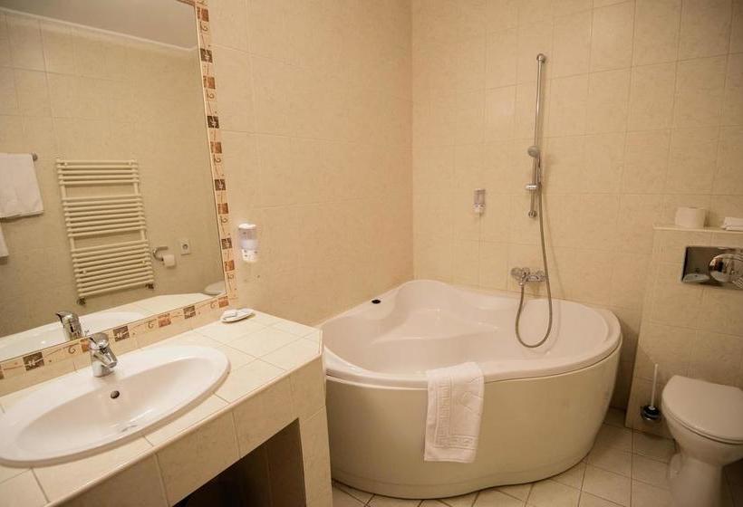 Hotel Alinalex Paradisul Acvatic 8