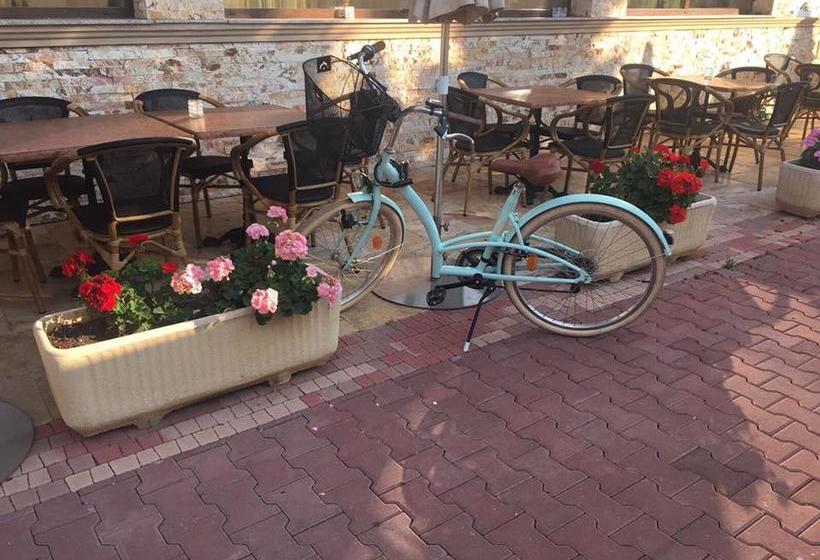 Hotel Aviator Boutique 15