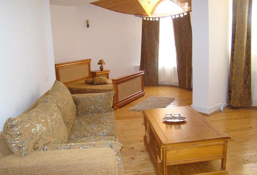 Resort Vila Carpathia 10