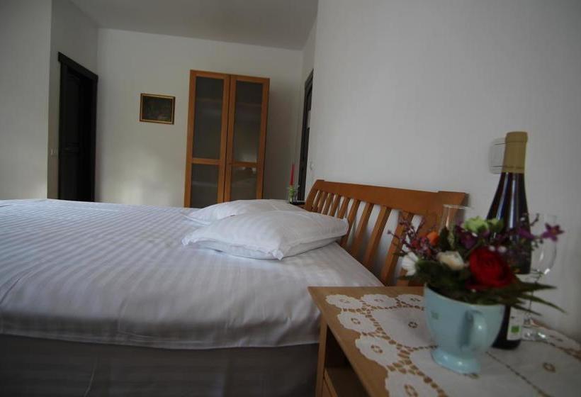 Resort Vila Carpathia 15