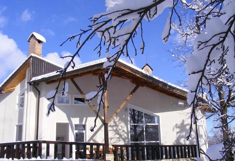 Resort Vila Carpathia 16