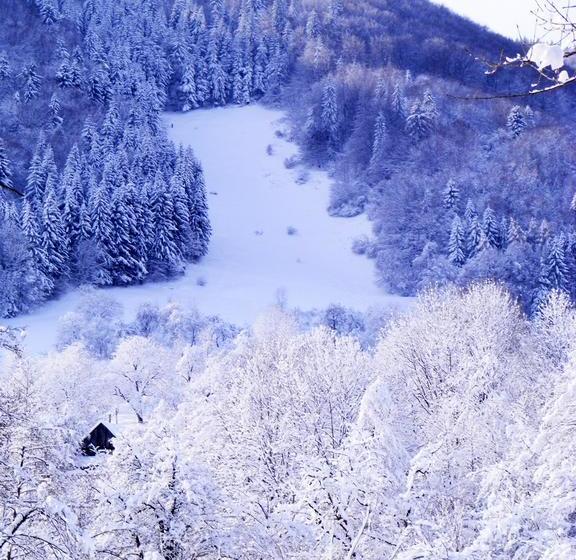 Resort Vila Carpathia 17