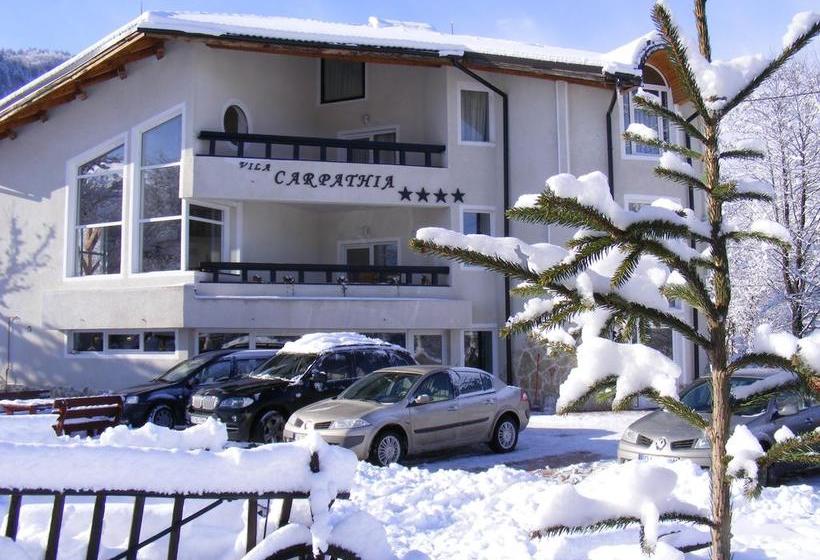 Resort Vila Carpathia 3
