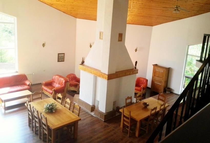 Resort Vila Carpathia 4