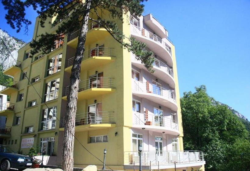 Hotel International Baile Herculane