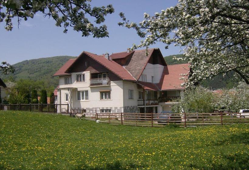 Bed and Breakfast Pensiunea Luminita