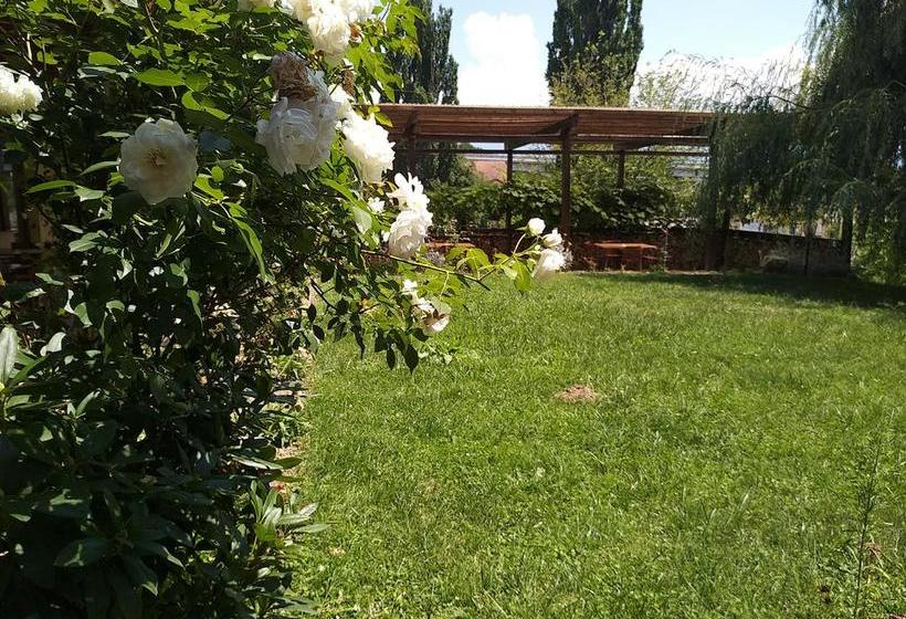 Bed and Breakfast Kolpinghaus 3