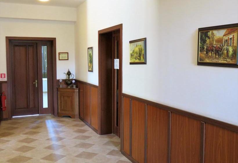 Bed and Breakfast Kolpinghaus 4