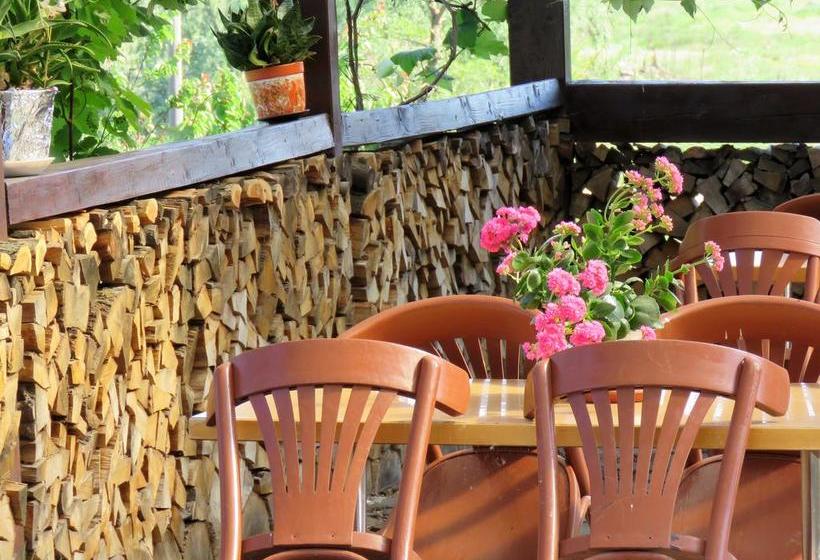 Bed and Breakfast Kolpinghaus 5