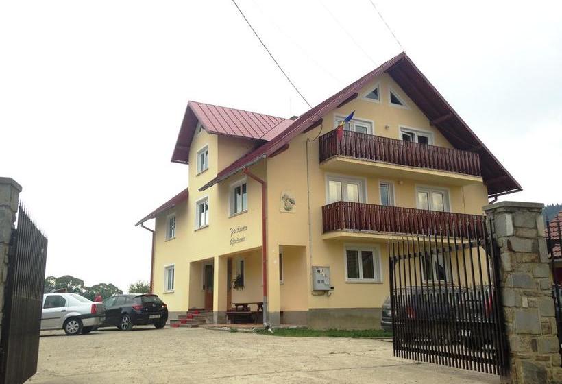 Bed and Breakfast Pensiunea Gentiana
