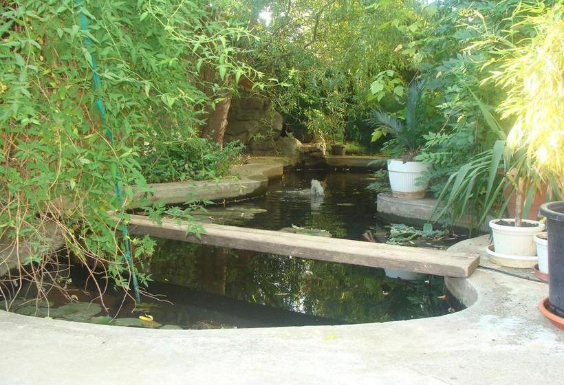 Hôtel Pension Eclipse 15