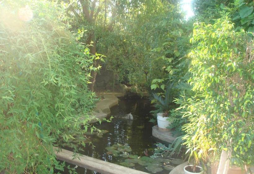 Hôtel Pension Eclipse 20