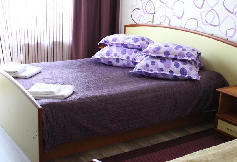 Bed and Breakfast Vila Meteor 19