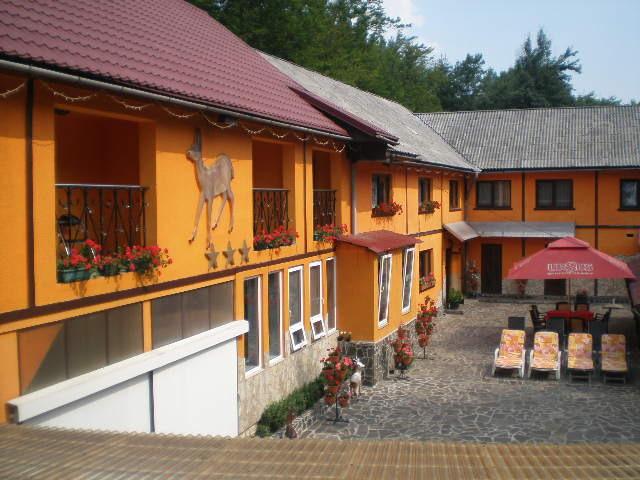 Hotel Complex Turistic Caprioara