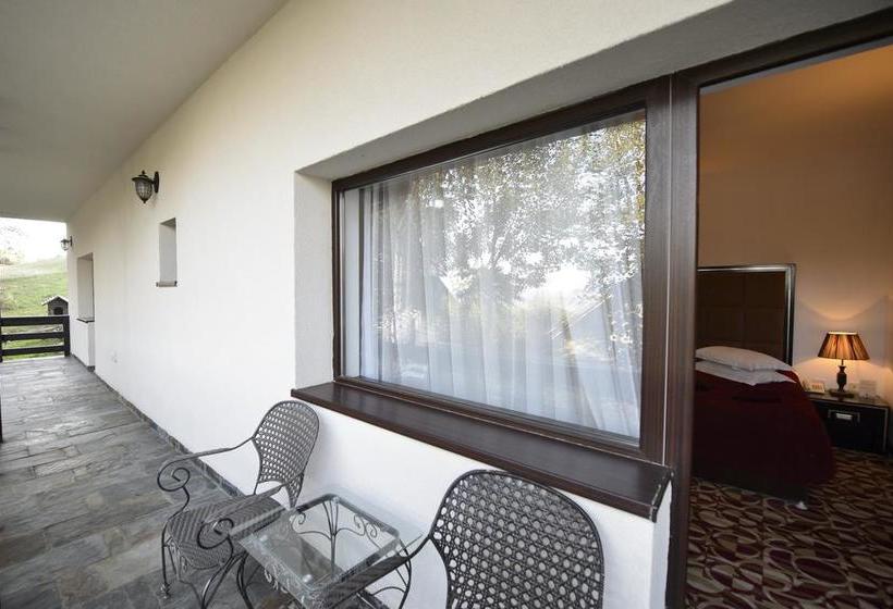 Hotel Contele Vladimir 11