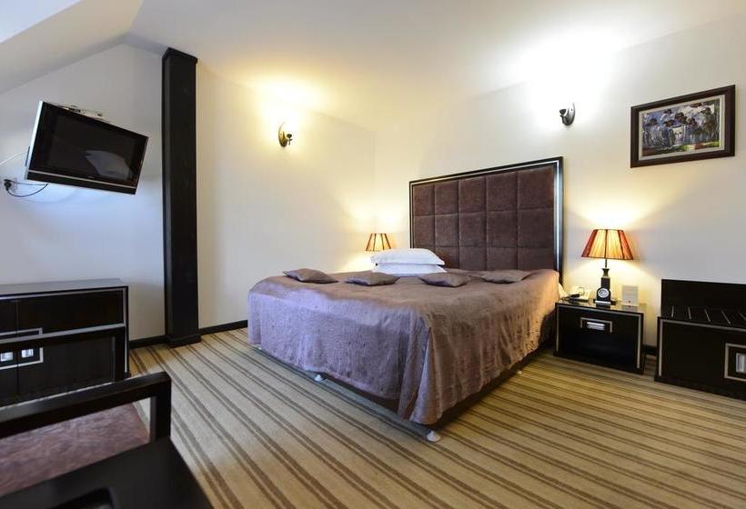 Hotel Contele Vladimir 13