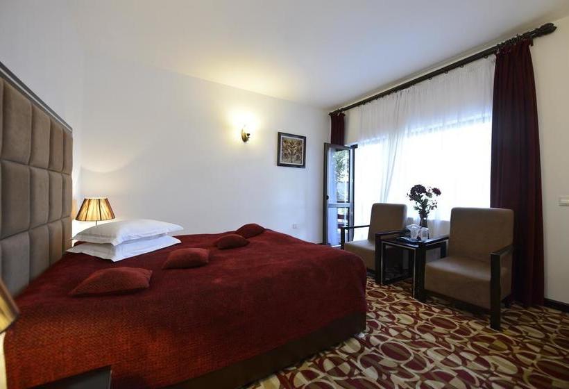 Hotel Contele Vladimir 14