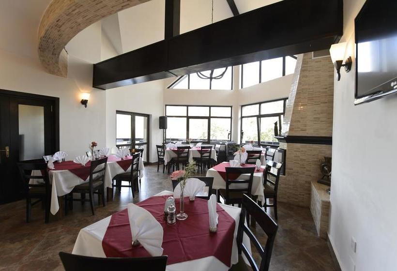 Hotel Contele Vladimir 16