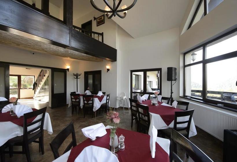 Hotel Contele Vladimir 17