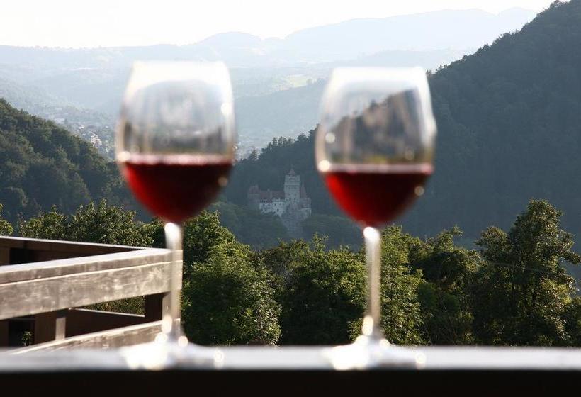 Hotel Contele Vladimir 2