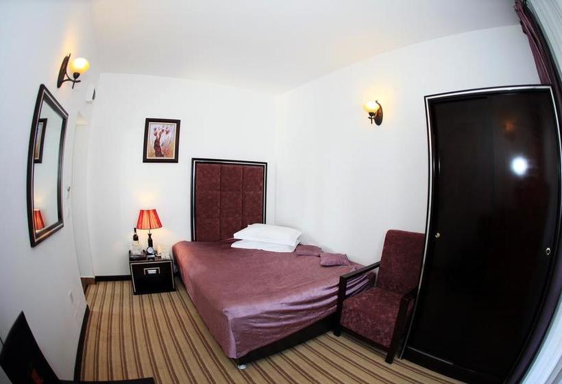 Hotel Contele Vladimir 3