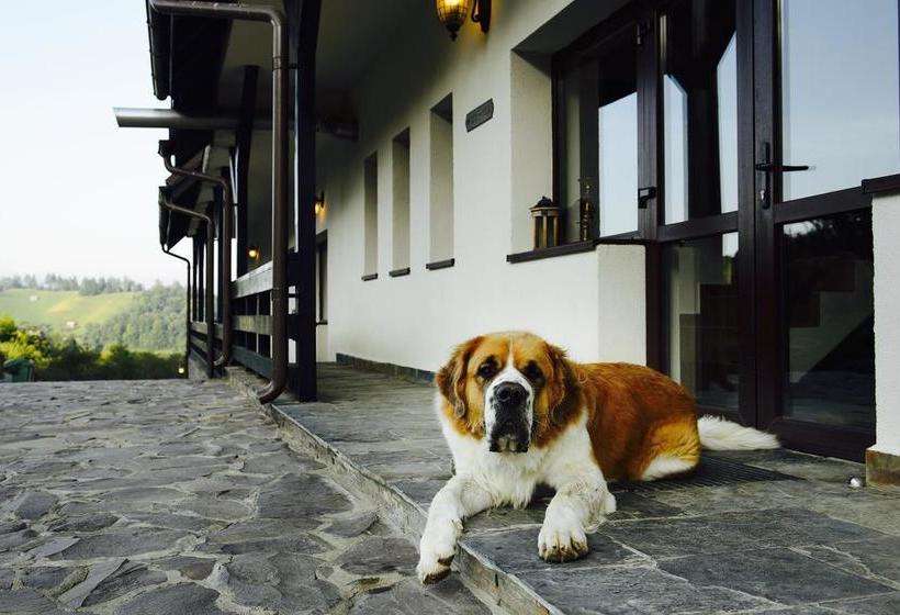 Hotel Contele Vladimir 5