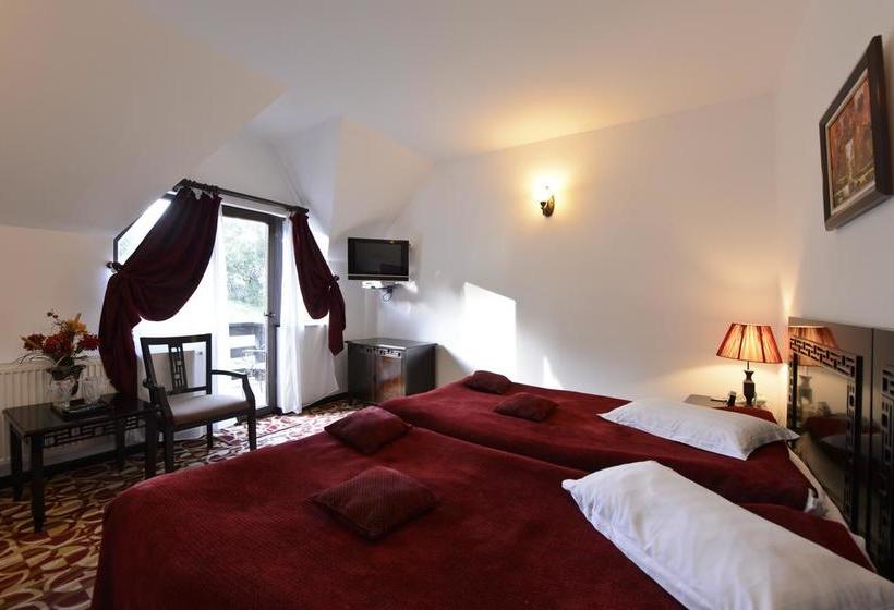 Hotel Contele Vladimir 6