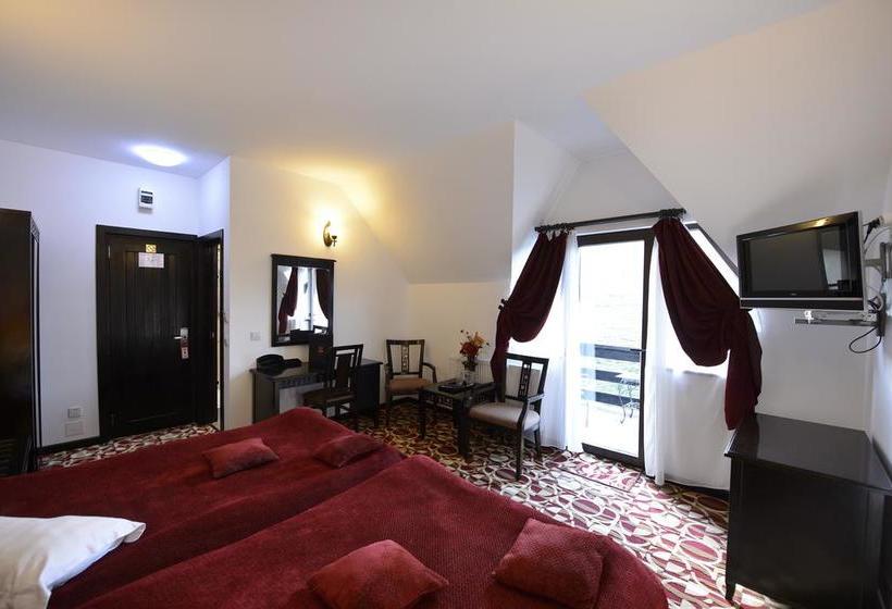 Hotel Contele Vladimir 8