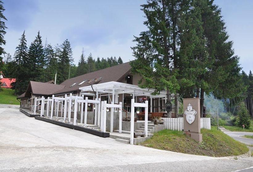 Hotel Hanul Cu Ursi